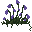 Harebellplant.png