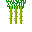 Sugarcaneplant.png