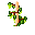 Greengrapeplant.png