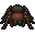 Tarantula.png